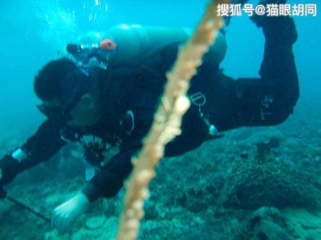 召唤神龙万宁版祖龙