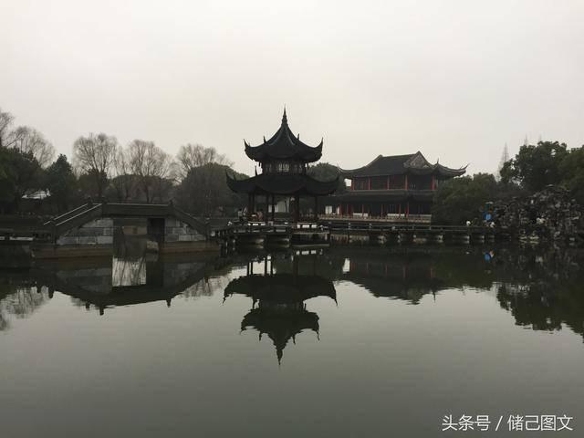 植物大战僵尸19
